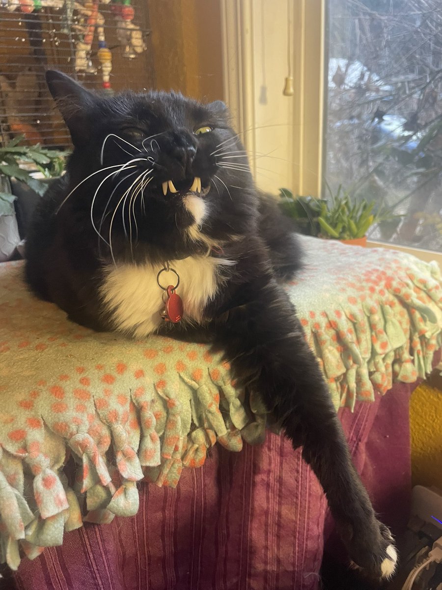 Anna Thompson 🥥🌴🥥🌴 tweet media