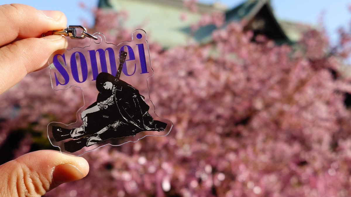 scslam14's tweet photo. A trip pretty close to perfect 🙏🏻🇯🇵

The show I will never forget 🎸🎶

And be able to see some most beautiful sakura with the family 🌸🌸

@somei_nanodayo
 #somei_asylum https://t.co/IQhxFvcrnL