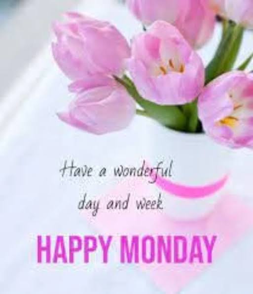 Harii_skr's tweet photo. Good morning dear friends 🌄🌞
Have a wonderful day and week 💖
#MondayVibes
#BBMzanziS6
#T20WorldCup
#WALFRA
#TELTWE
#ManUtd https://t.co/us7kZaRO4m