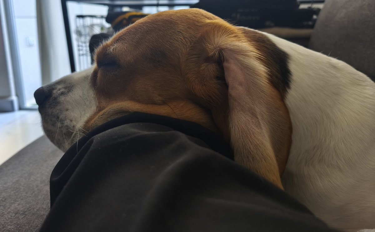 DaxGonz's tweet photo. Domingo de bajón. https://t.co/VBdQalRWR9