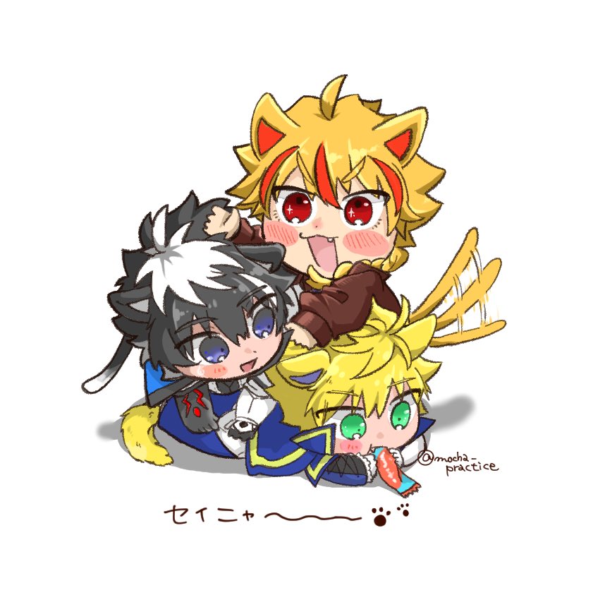 セイニャー🐱🗡️