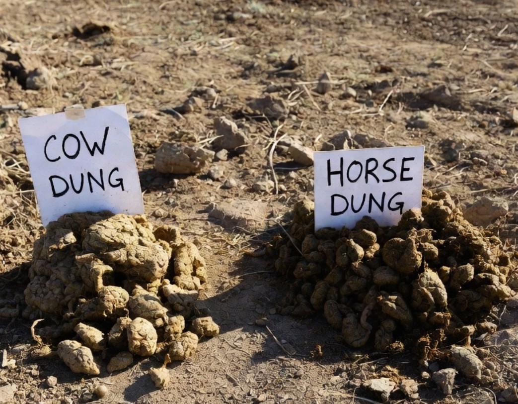 David DeVane (@sddevane) / Posts / X
