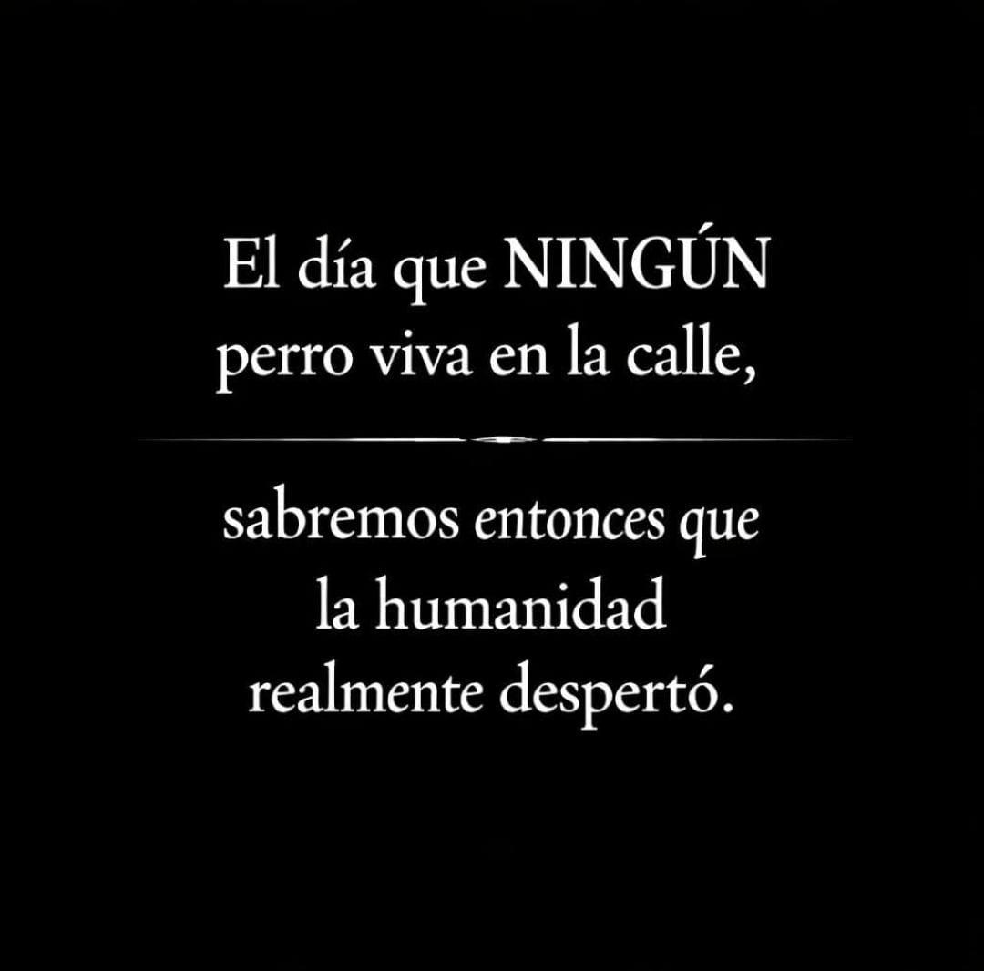 Manu Saenz💛💛 tweet media