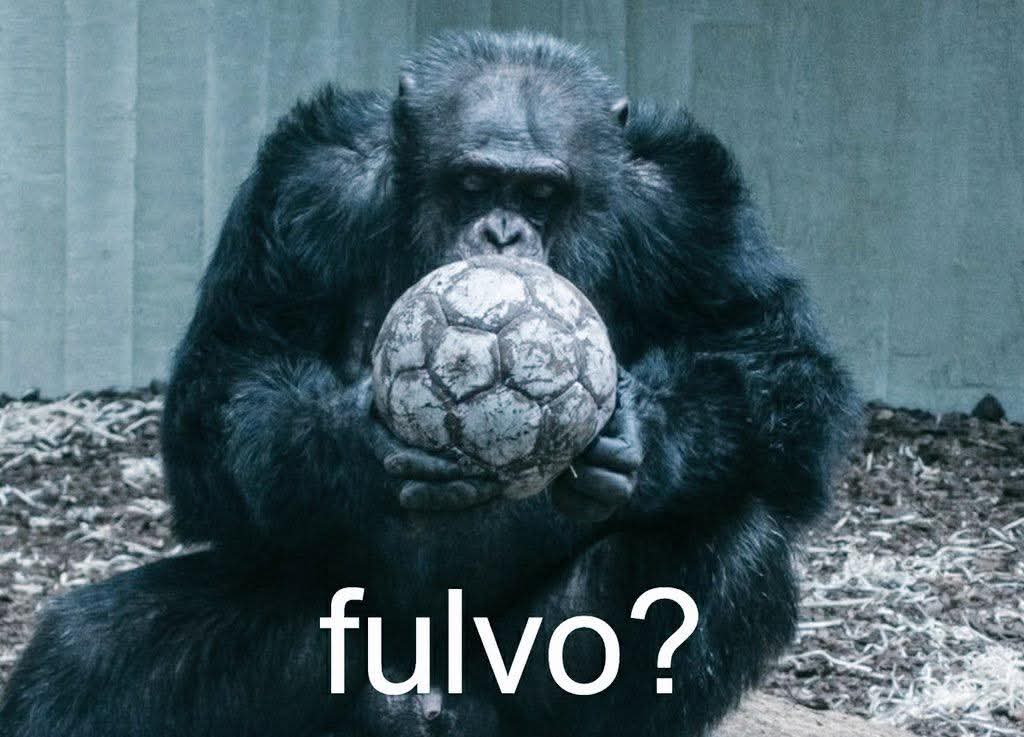 *Medio pais al borde del colapso*

Rayados y Pumas: