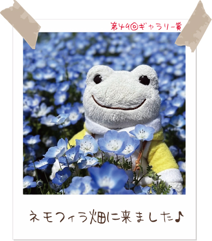 かえるのピクルス/pickles the frog (@picklesthefrog6) / Posts / X