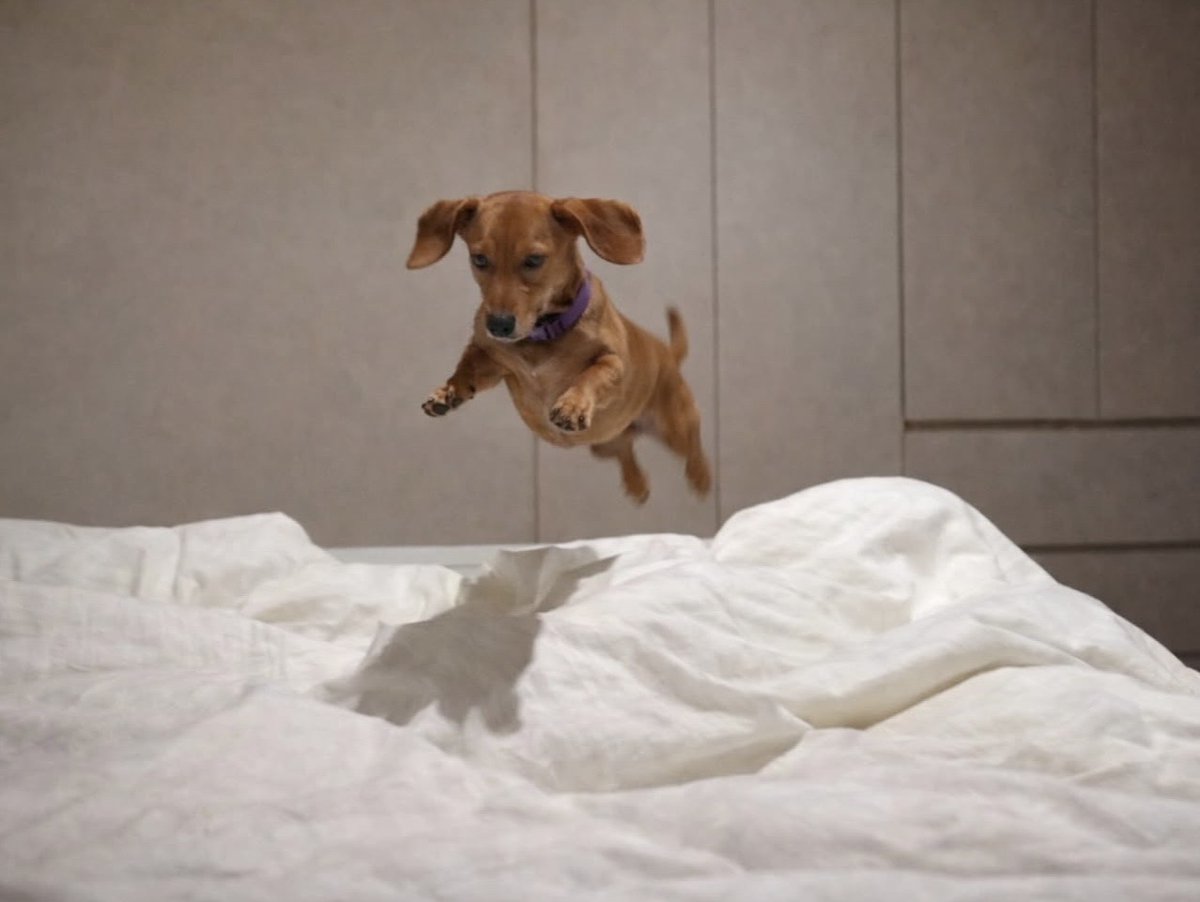 Yo cuando veo mi cama a cualquier hora del día: