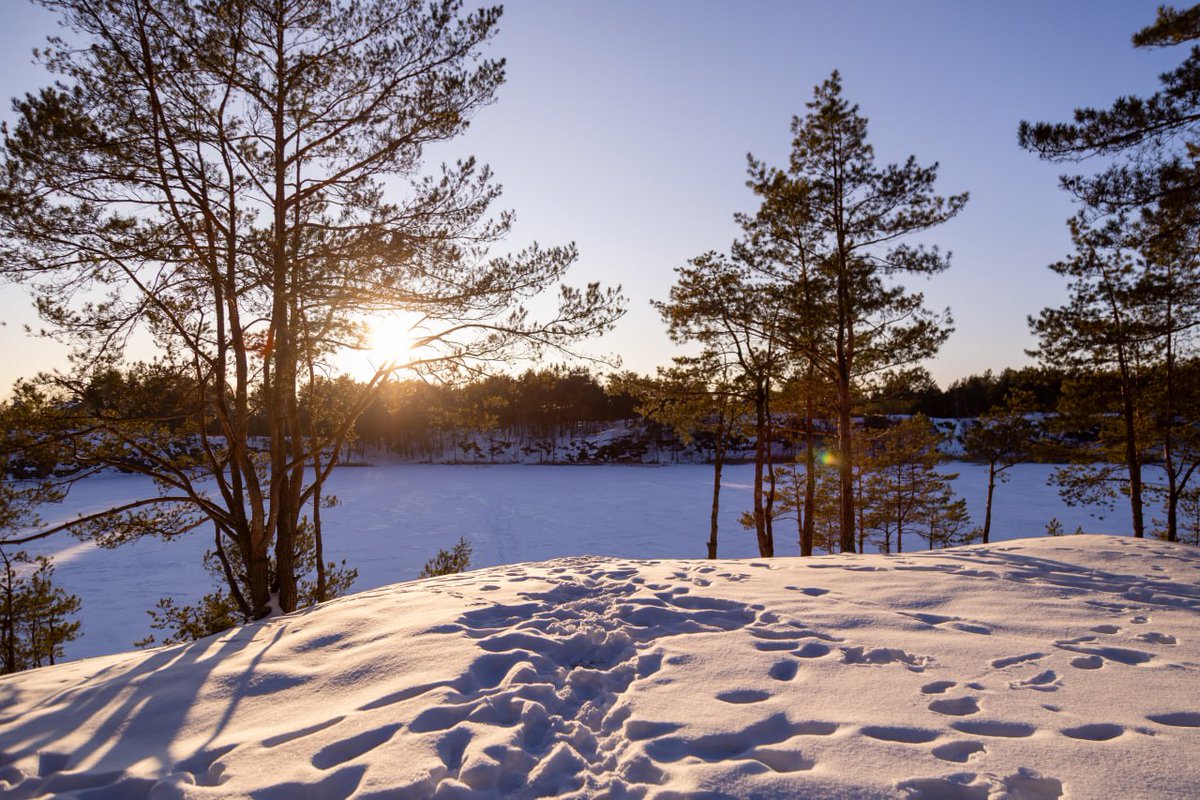 Furoar Suits 🇺🇦 tweet media