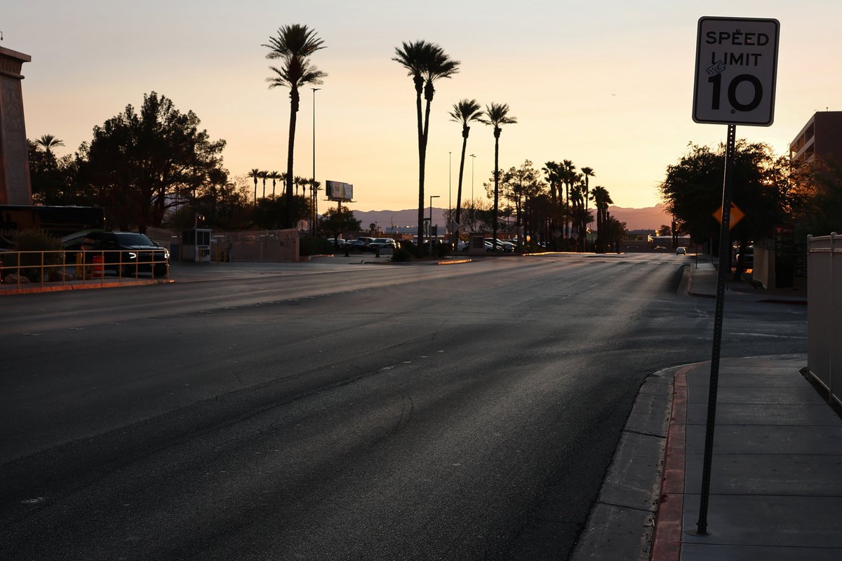 Youri Hoek tweet media