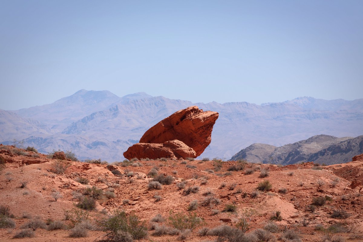 Youri Hoek tweet media