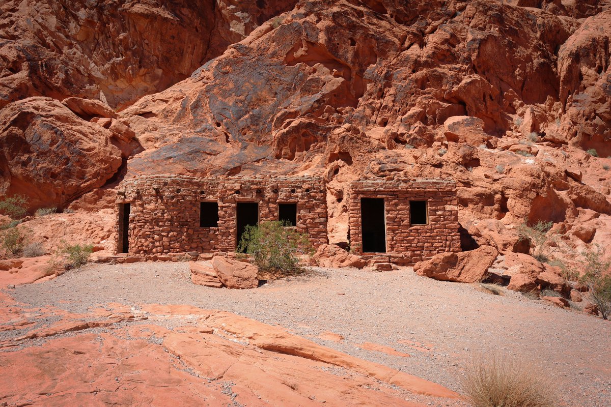 Youri Hoek tweet media