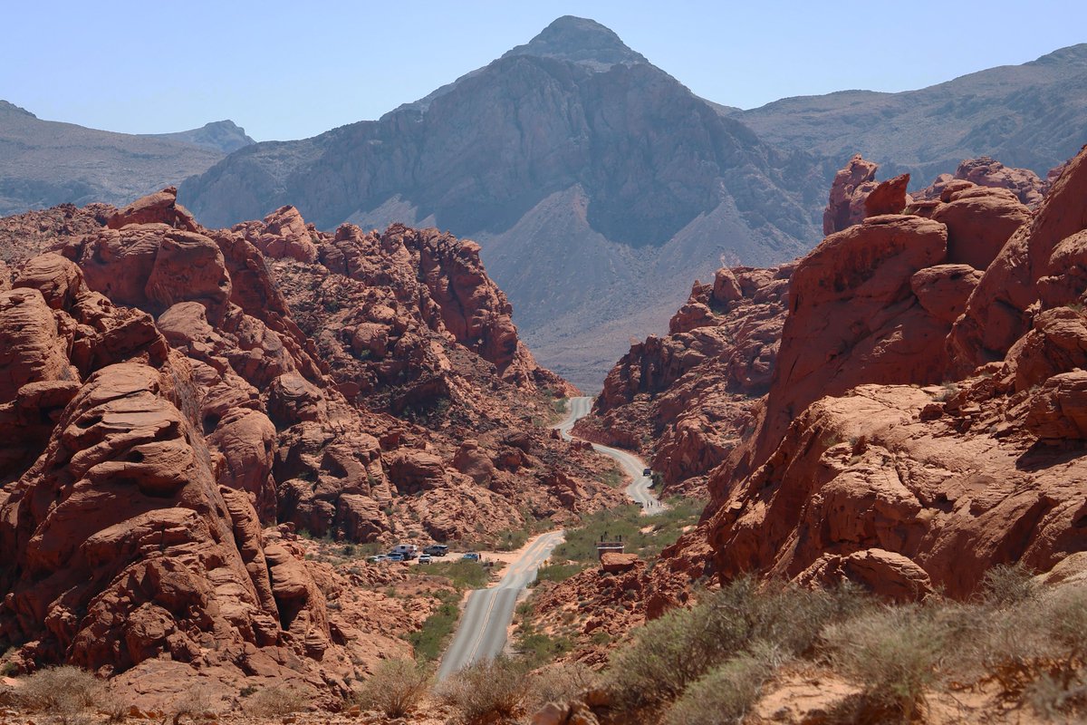 Youri Hoek tweet media