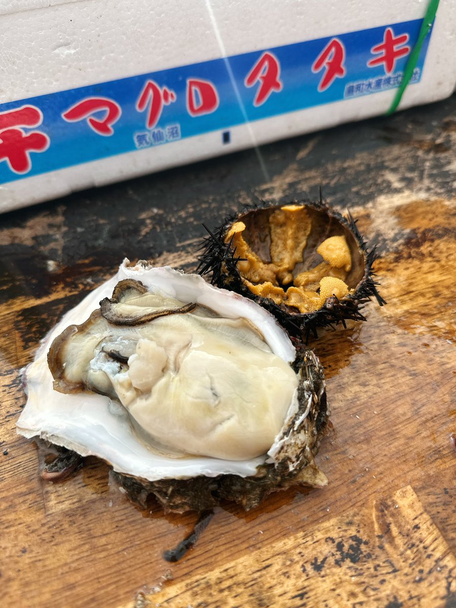 本日も遠征中〜 ひたちなか市にて牡蠣とウニ！！！
