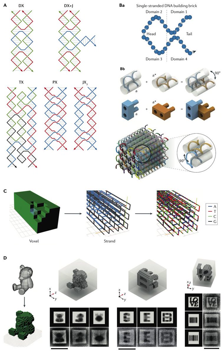 Ryan sikorski tweet media