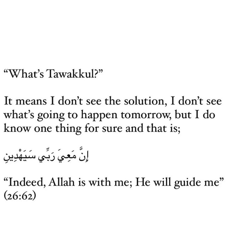 Muslim Ummah (@muslim_ummah_4) on Twitter photo 