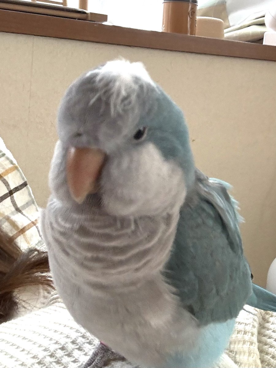 往年の大女優のような風格✨📷✨