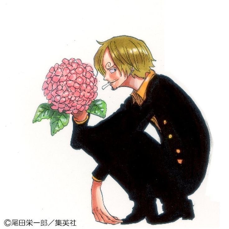 Sanji of shedtwt tweet media