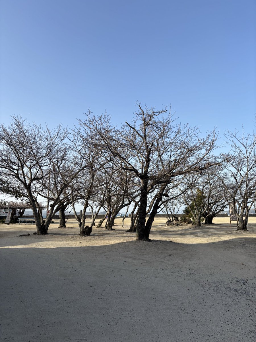 鈴木美由樹𓇼 tweet media