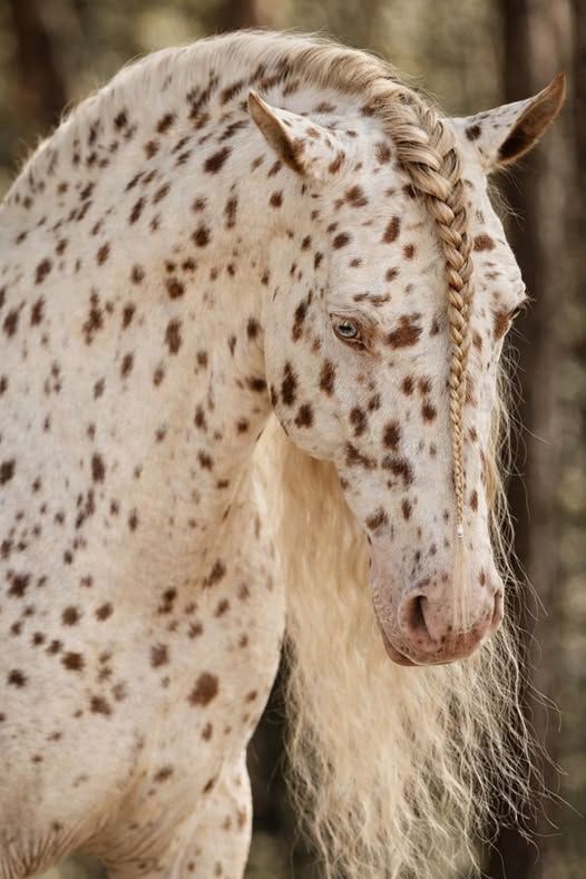 Earth Pictures 🌎🌎🌎 (@__earthpicture) on Twitter photo 