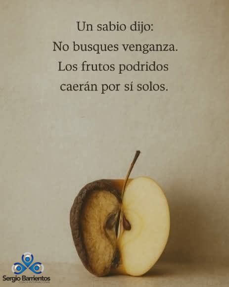 No busques venganza, los frutos podridos caeran solos 😐