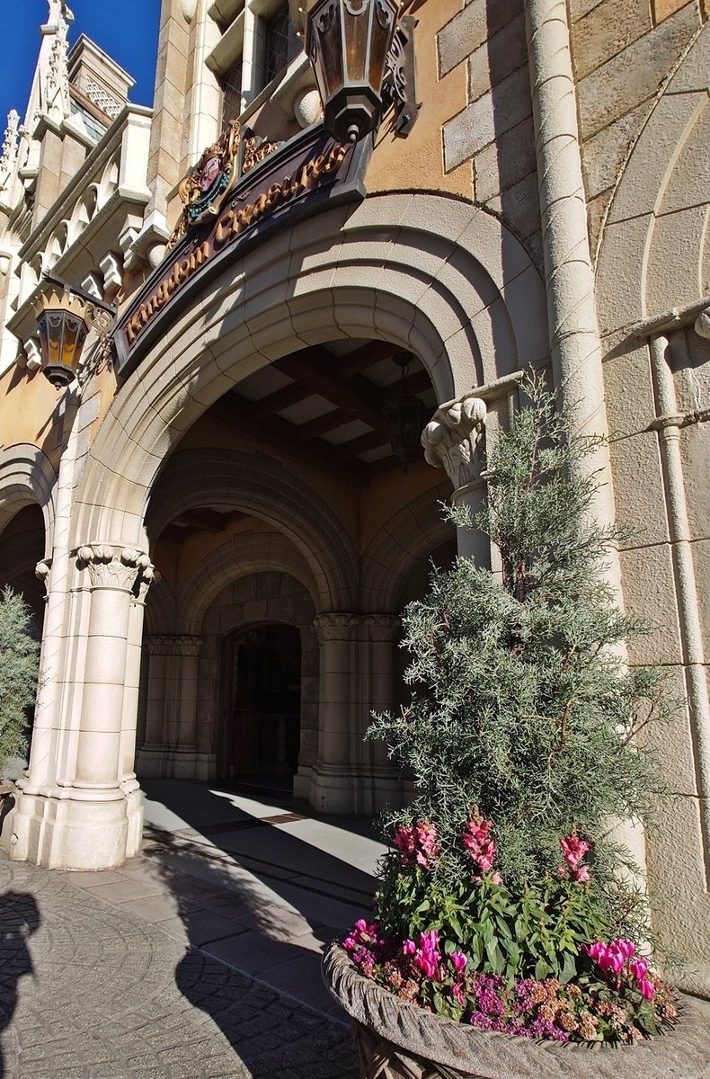 花と緑のTDRブログ_ユキヤナギ tweet media