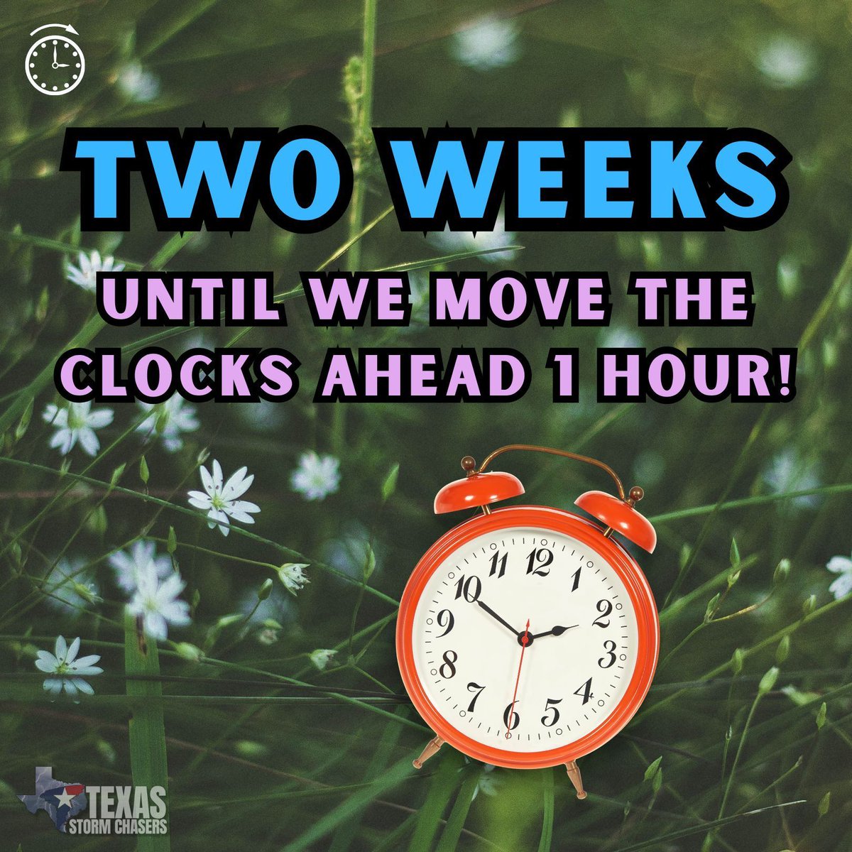 Texas Storm Chasers ⚡ tweet media