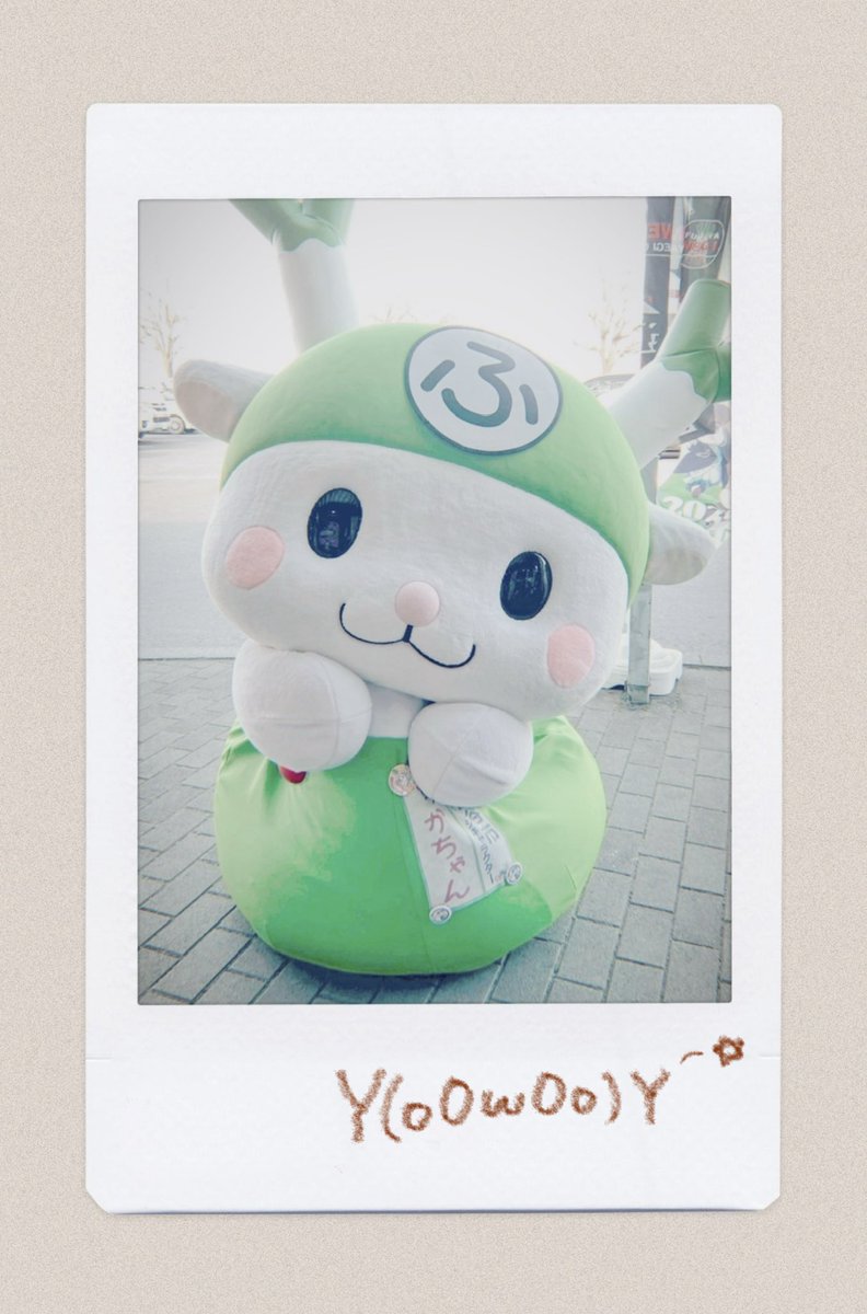 ふっかちゃん (@fukkachan) / Posts / X