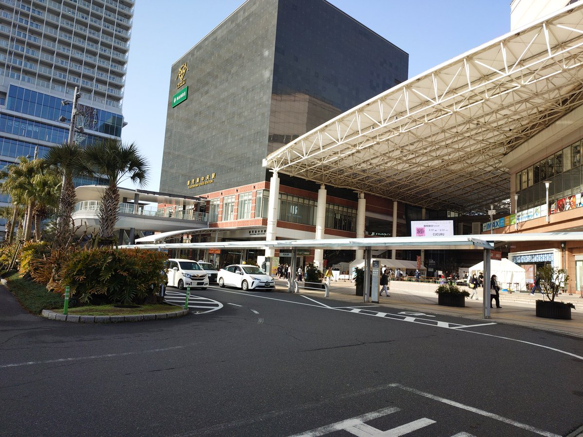 higlitty's tweet photo. おはようございます
鹿児島から東京に帰ります https://t.co/ExaPjpVOwu