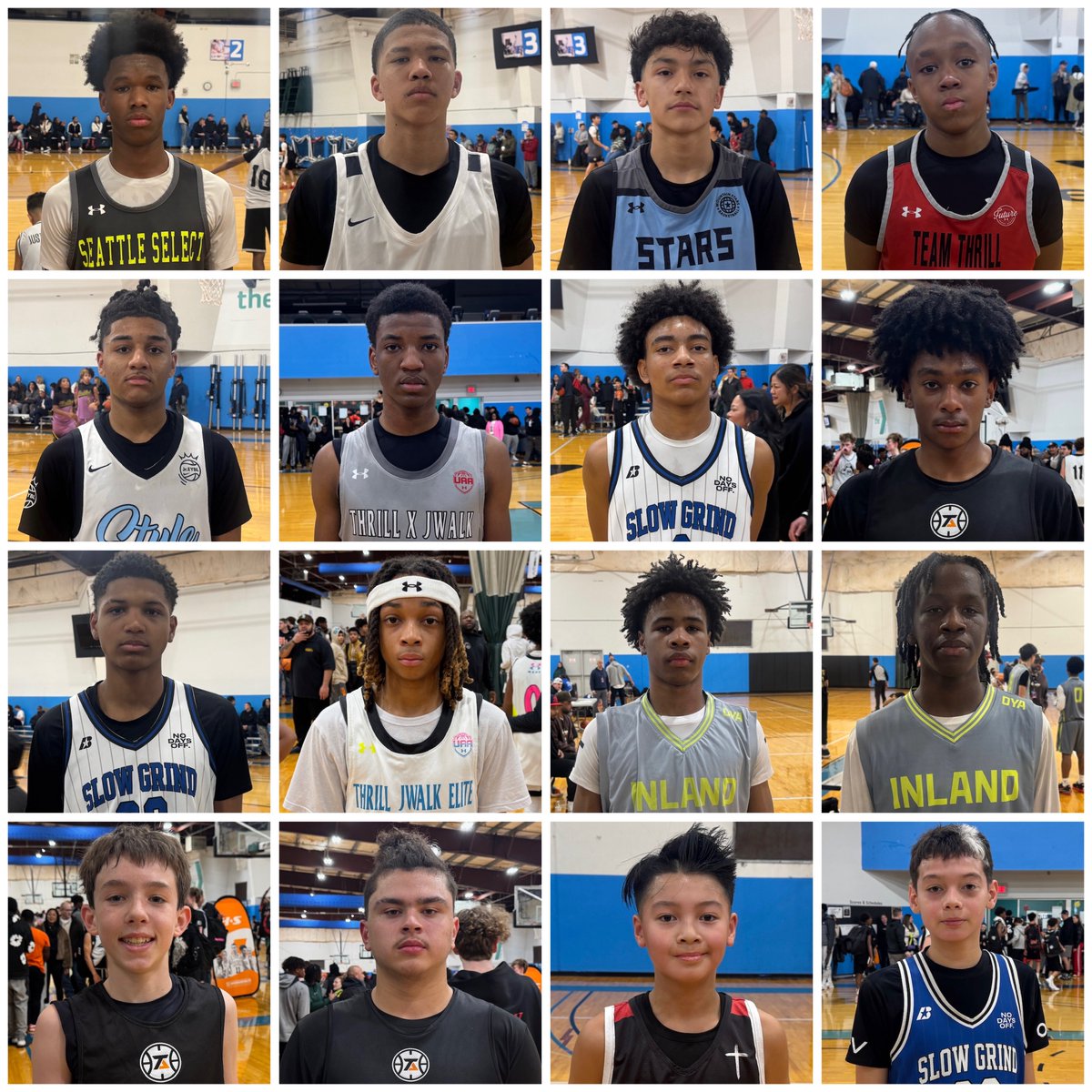 Pro Insight tweet media