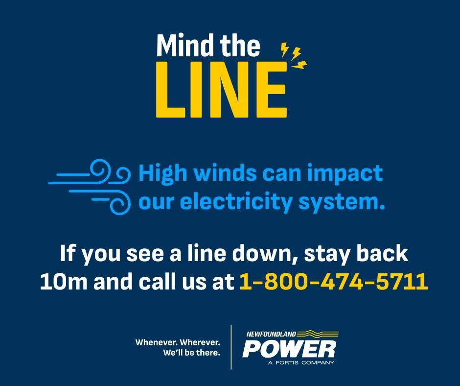 Newfoundland Power tweet media