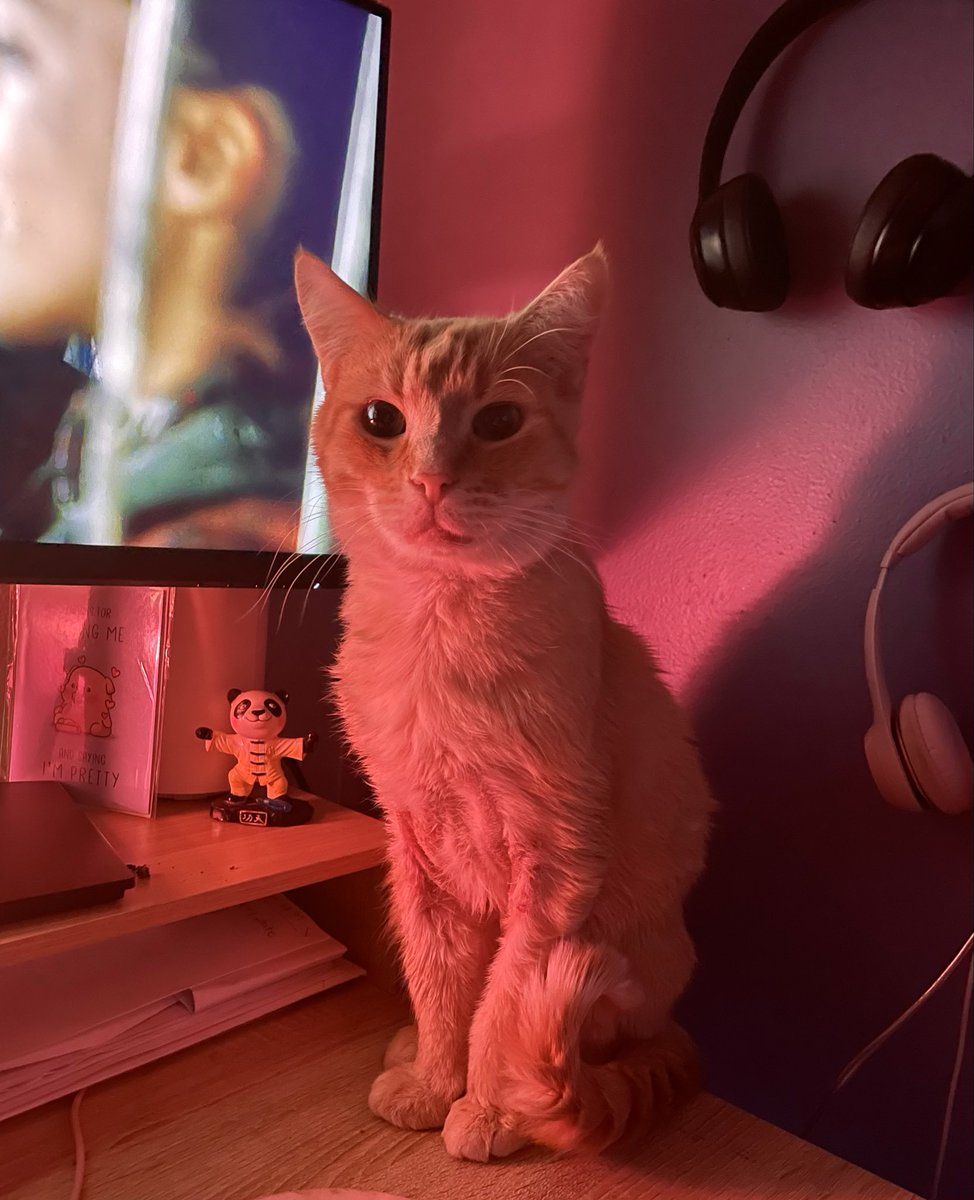 Robyn ✨ Robynz Reality tweet media