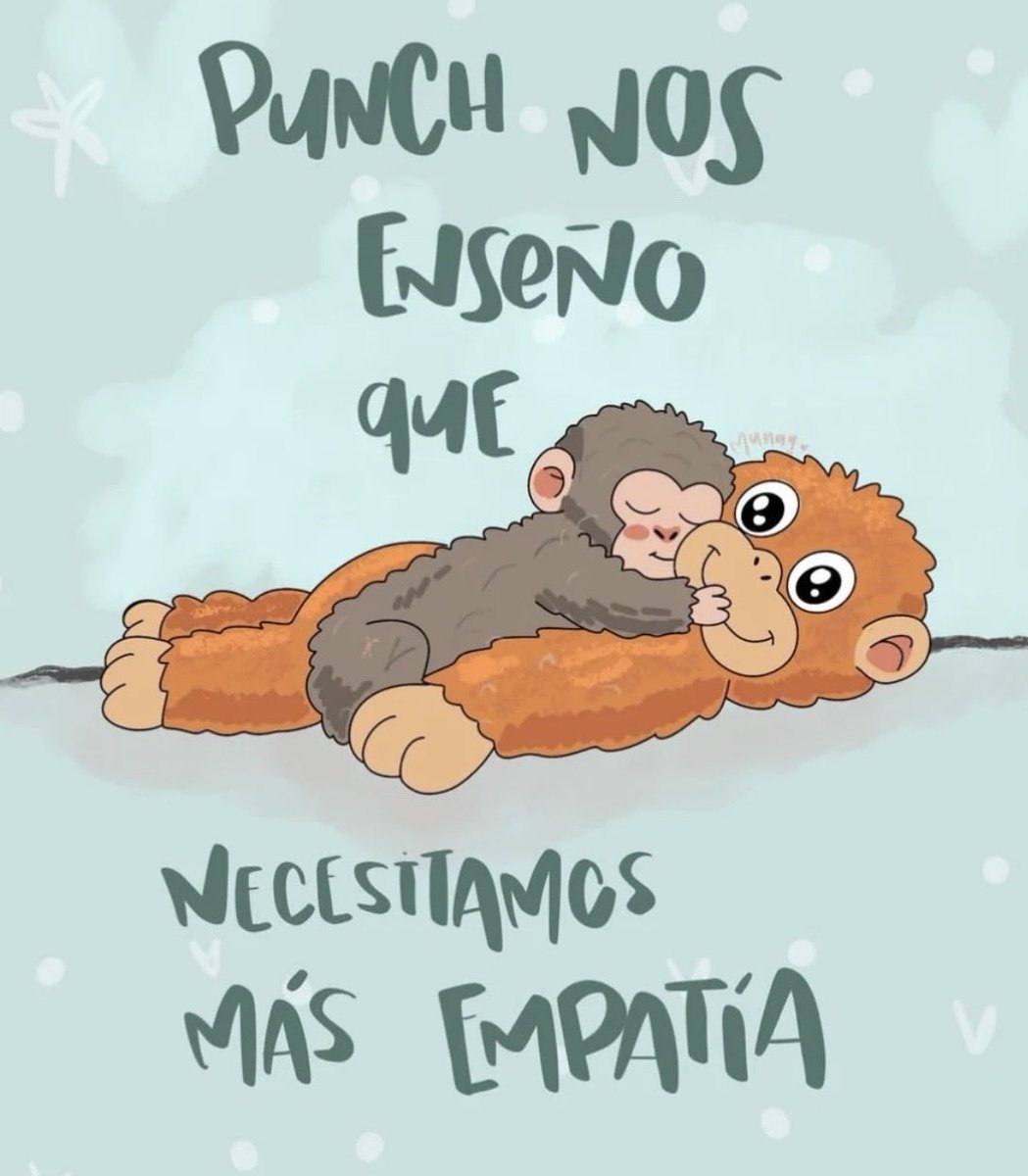 rocio vazquez tweet media