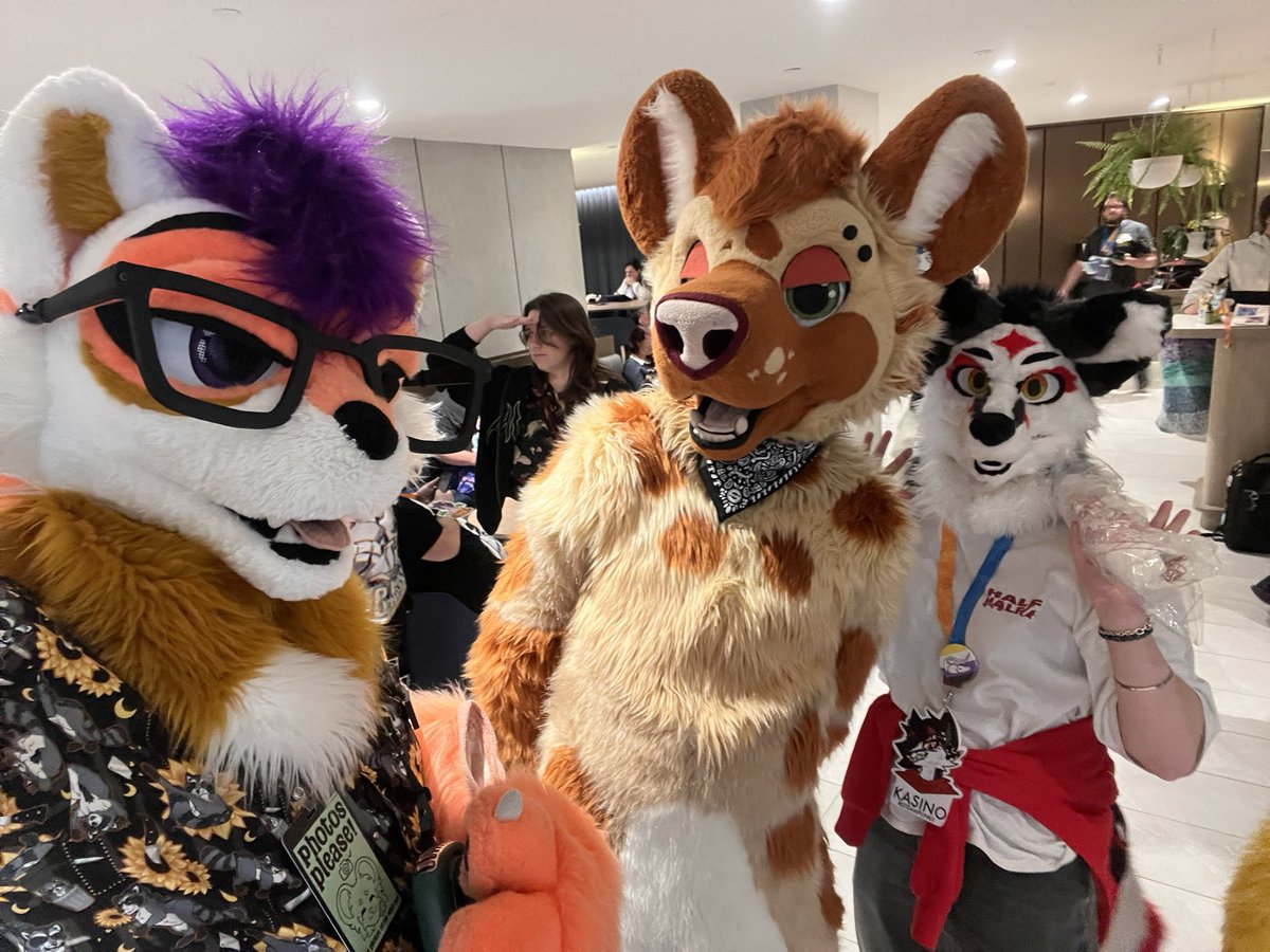 ClarityRacc's tweet photo. Thank you MFC I had an absolute blast! I wish it could last forever but all things come to an end. I hope everyone had fun too! 

peeps in da photos :3
🐺: @Torani_Wolf 
🐈: @algos_puma 
🦝: @Inkarail 
🐺: @Dennis_Gunnn 
🦊: @punkii_steam 

#furry #mfc2026 #furcon https://t.co/qafm2fq9Dc