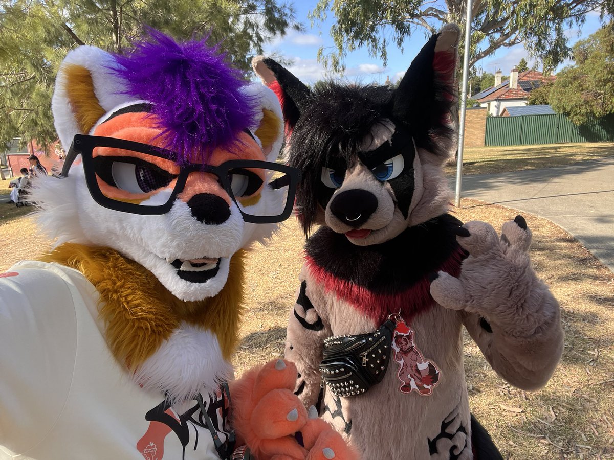 ClarityRacc's tweet photo. Thank you MFC I had an absolute blast! I wish it could last forever but all things come to an end. I hope everyone had fun too! 

peeps in da photos :3
🐺: @Torani_Wolf 
🐈: @algos_puma 
🦝: @Inkarail 
🐺: @Dennis_Gunnn 
🦊: @punkii_steam 

#furry #mfc2026 #furcon https://t.co/qafm2fq9Dc