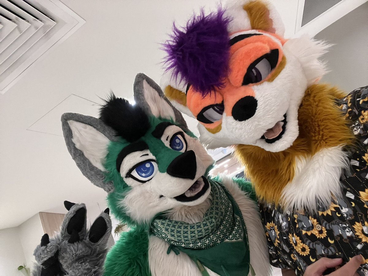 ClarityRacc's tweet photo. Thank you MFC I had an absolute blast! I wish it could last forever but all things come to an end. I hope everyone had fun too! 

peeps in da photos :3
🐺: @Torani_Wolf 
🐈: @algos_puma 
🦝: @Inkarail 
🐺: @Dennis_Gunnn 
🦊: @punkii_steam 

#furry #mfc2026 #furcon https://t.co/qafm2fq9Dc