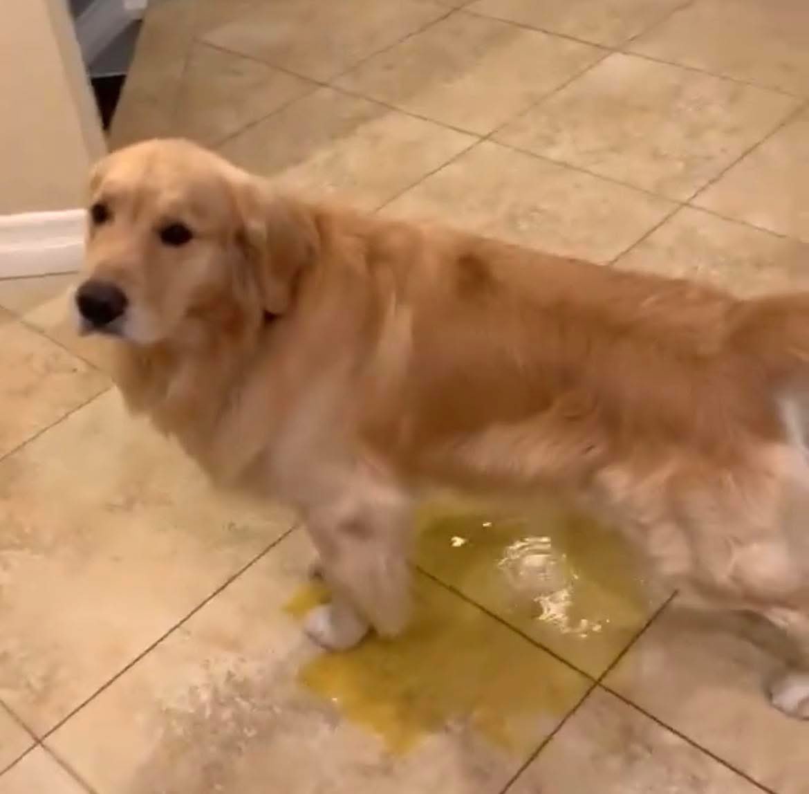 El wey que estaba trasladando al Mencho cuando vio que ya no respiraba: