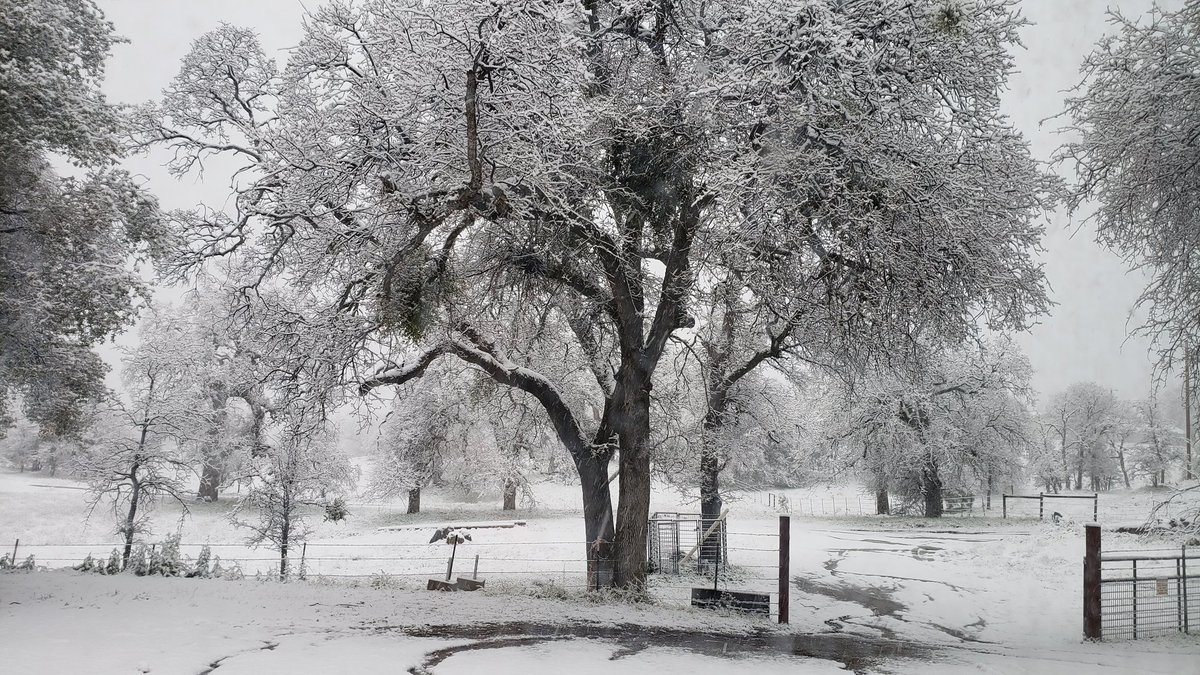 ge-b🏔@drawing hell✍💀 tweet media