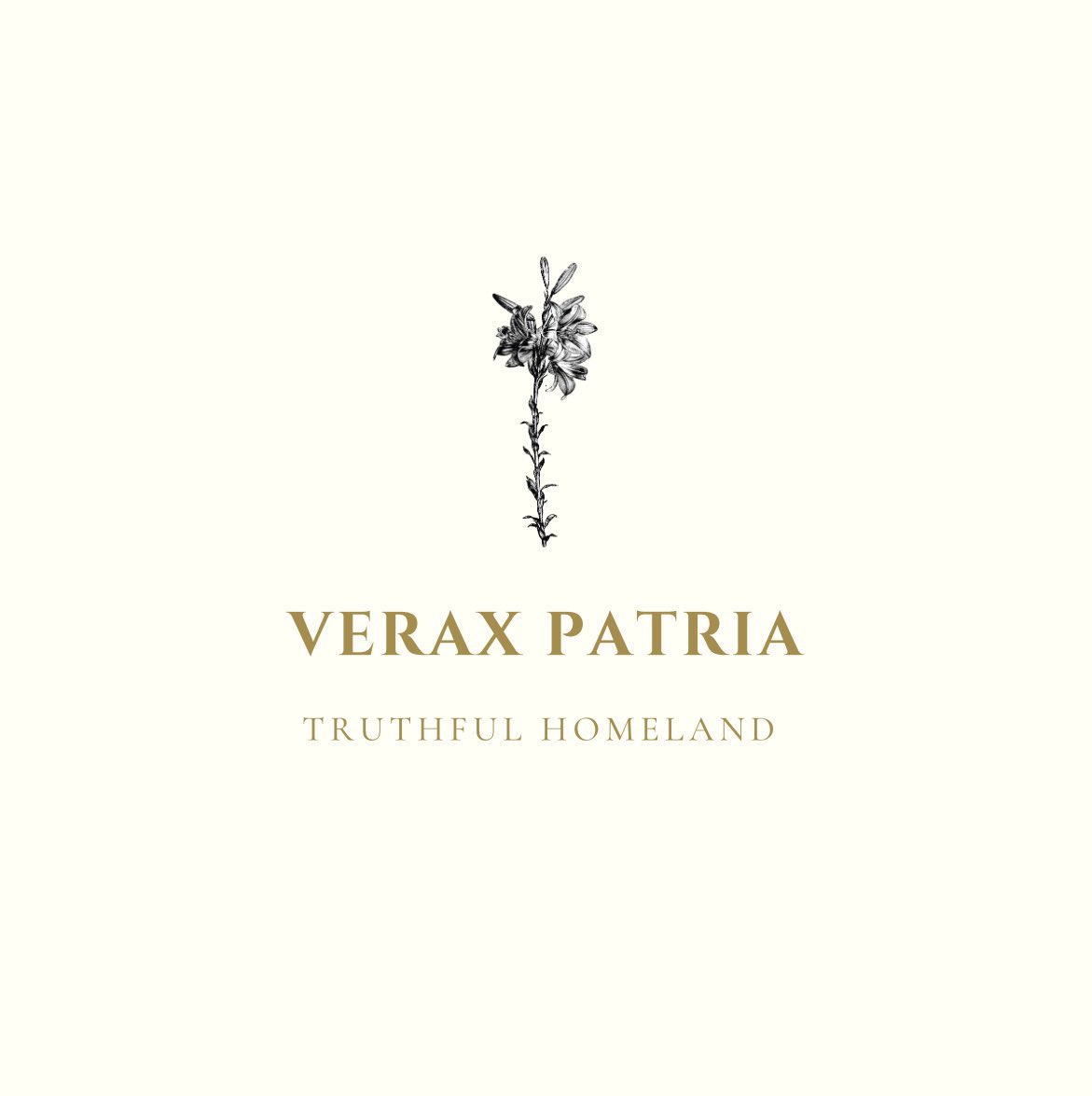 Verax Patria Partnership Corp. tweet media