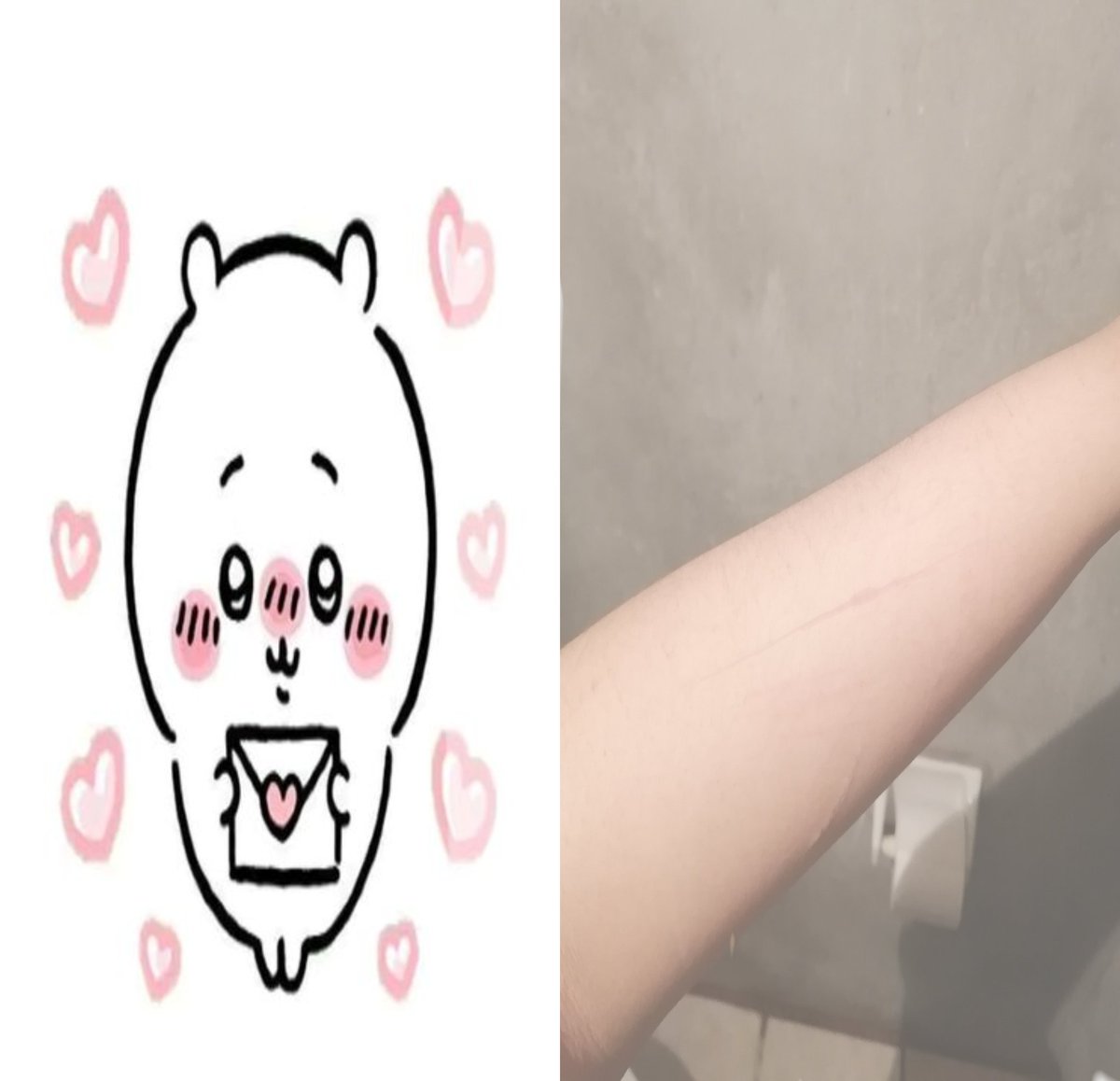 Están bien miniss, se ven bien cute 🩷 #shtwt,