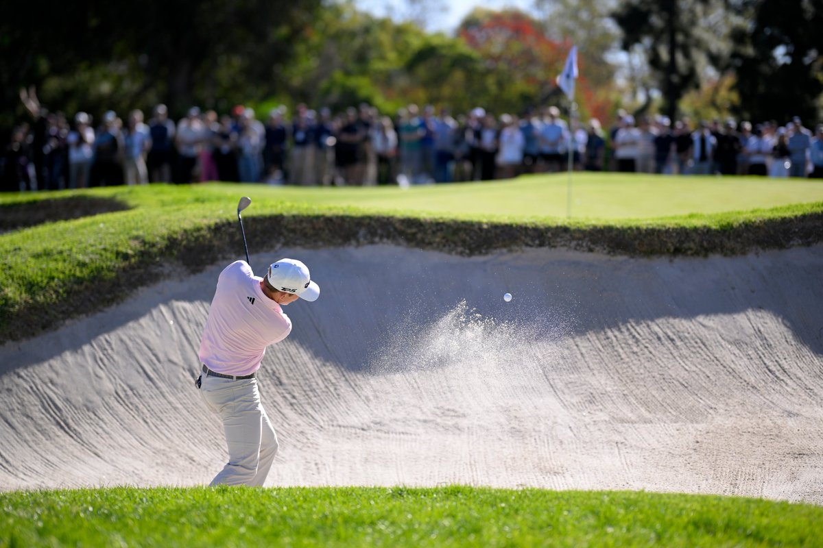 Alistair Cameron tweet media