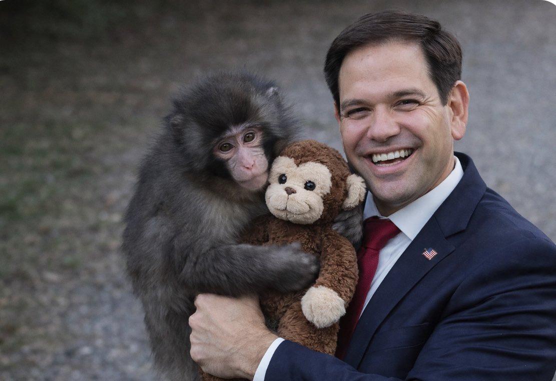 Kathi P Smith tweet media