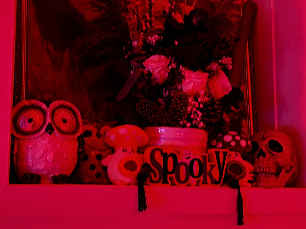 🕸️🎃♥Тартаусукр♥🎃🕸️ tweet media
