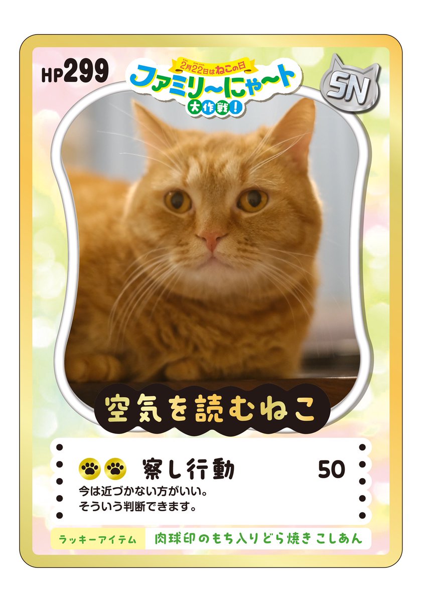 yzmg75413's tweet photo. #ファミリ～にゃ～ト大作戦 
#nekochan https://t.co/k99WskAQ3H