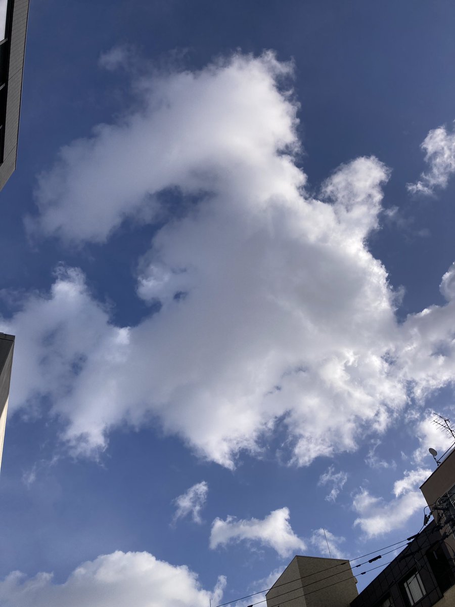 あなたにはあなたの道があります。

彼ら（支配者層）は、いわゆるアドレナリンやドーパミンの分泌を利用して、僕たちを暴走させ、狂わせる方法を使ってきました。

それが、

セックス（ポルノ）
スポーツ（オリンピック／勝敗）
スクリーン（映画／マスメディア／テレビ／ネット／PC／スマホ）