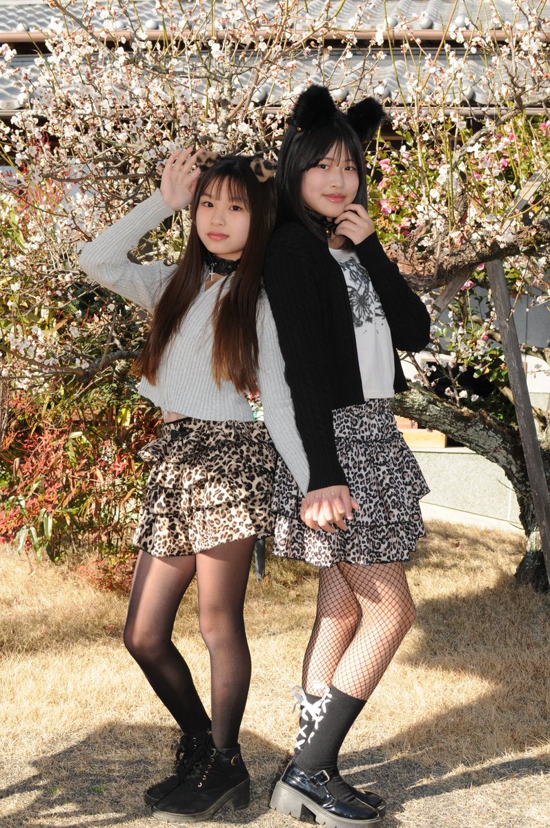 みやび (@mimimi6383) / Posts / X