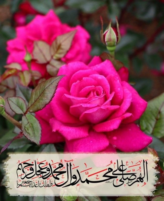 *ایک بار محبت سے درود شریف پڑھ کر react کریں📿🫠*

*❁بِسـمِ اﷲِالرَّحْمَنِ اارَّحِيم❁۔*
*اَللّٰھُمَّ صَــّلِ عَلٰی مُحَمَّدٍ وَّعَلٰٓی اٰلِ مُحَمَّدٍ کَمَا صَلَّیْتَ عَلٰٓی اِبْرَاھِیْمَ وَعَلٰی اٰلِ اِبْرَاھِیْمَ اِنَّکَ حَمِیْدٌ مَّجِیْد

*اَللّٰھُمَّ بَارِکْ عَلٰی مُحَمَّدٍ