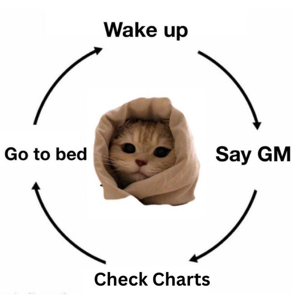 coinexcom's tweet photo. Gm gm

You know the drill 🫵 https://t.co/1VOuTqBkhQ