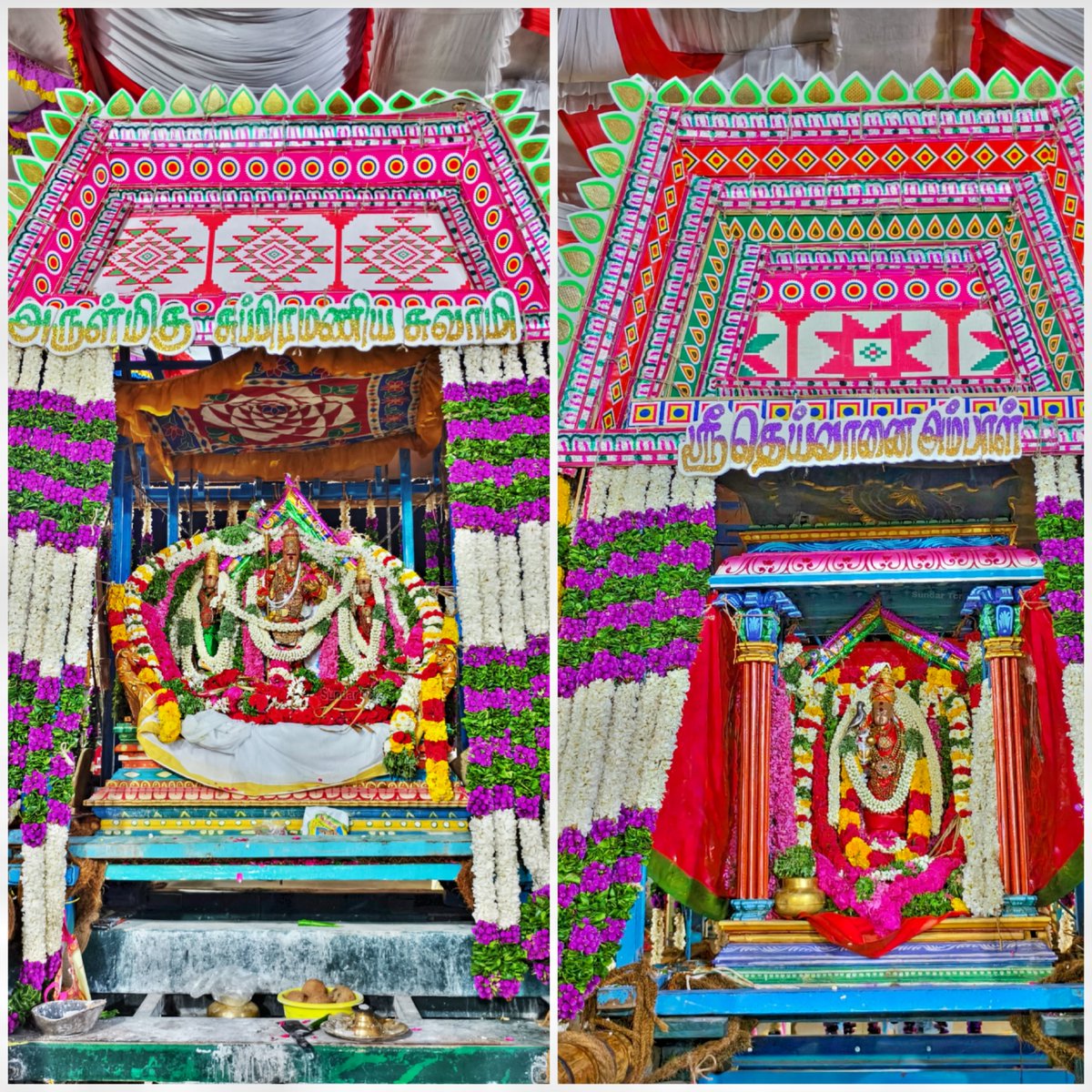 BooksVilasam's tweet photo. திருச்செந்தூர் மாசி திருவிழா 2ம் நாள்  குமரவிடங்கப்பெருமான் சிங்கக் கேடயச் சப்பரத்திலும்,தெய்வானை  பெரிய கேடயச் சப்பரத்திலும் எழுந்தருளினார்.🙏🏻🙏🏻
#திருச்செந்தூர் #ஷண்முகவிலாசம்புக்ஸ்டால் https://t.co/ChMWTiRlpI