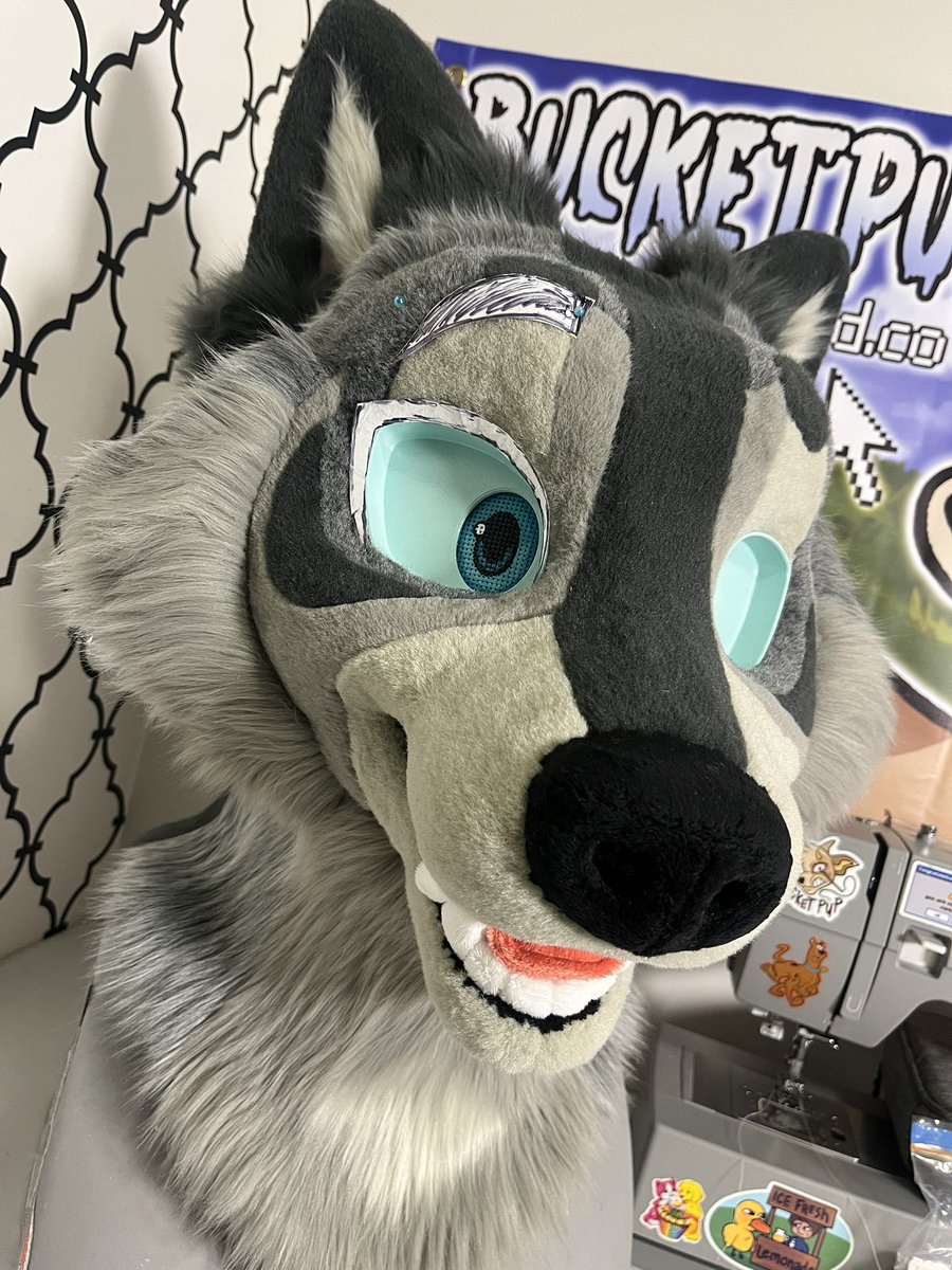 🫀Bucketpup/Fletcher tweet media