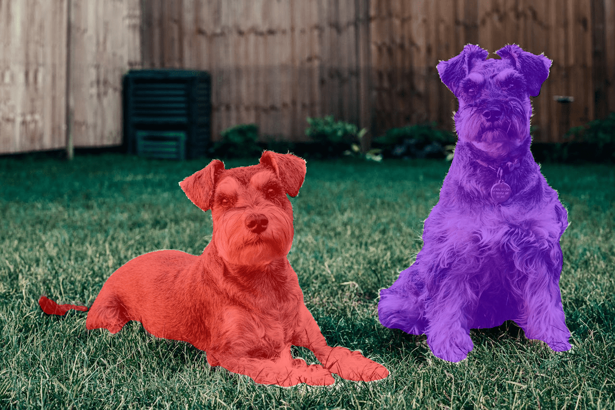 SovitRath5 tweet media