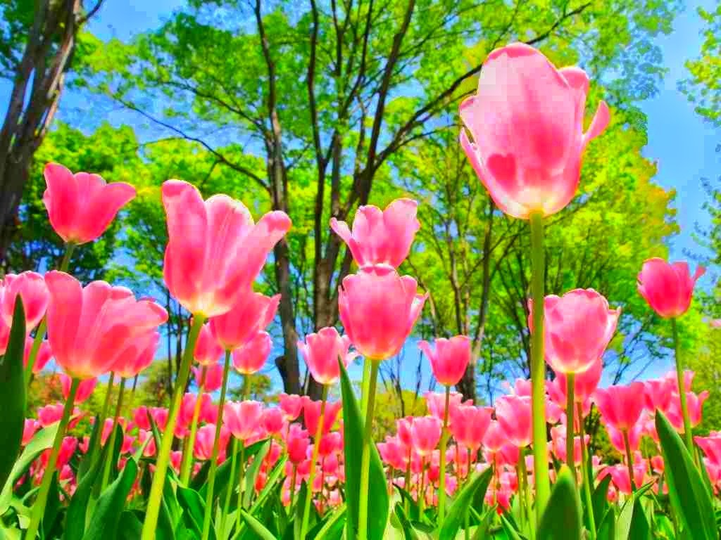 hima18_es's tweet photo. スクワット、始めました🌷 https://t.co/Bn5LJXjTVf